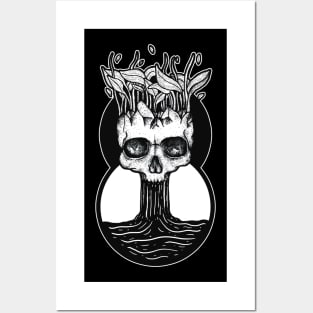 waterfall skull Posters and Art